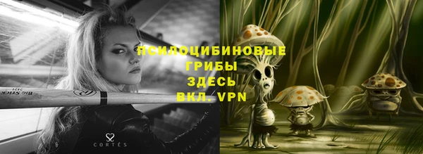 МДПВ Аркадак